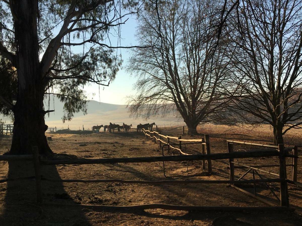 Khotso Lodge & Horse Trails Underberg Exterior foto